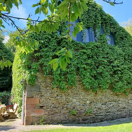 Apartment Sammetbach